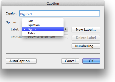 word 16.11 for mac photo captions are always in italics